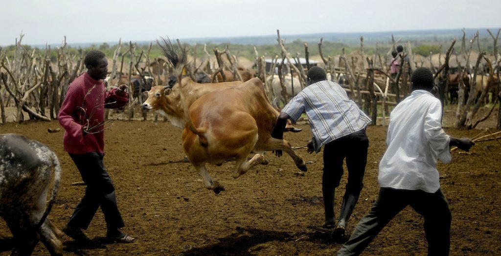 Flights and Hotels to Uganda | Travel Source Book Your Trip to Uganda | Travel Source