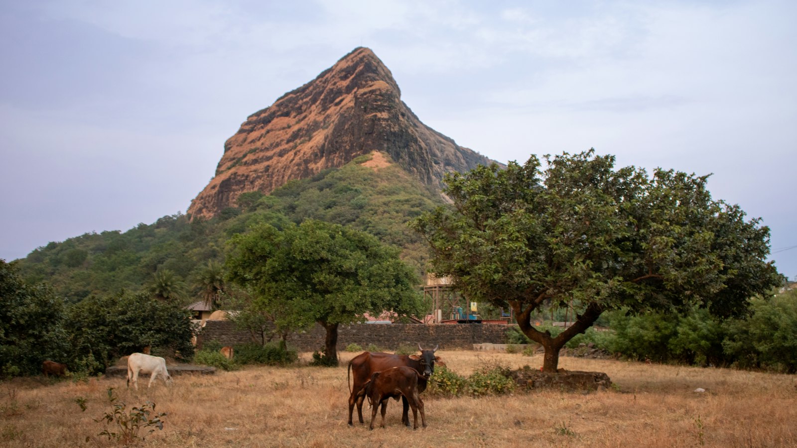 Flying to Burkina Faso: a guide for mission groups