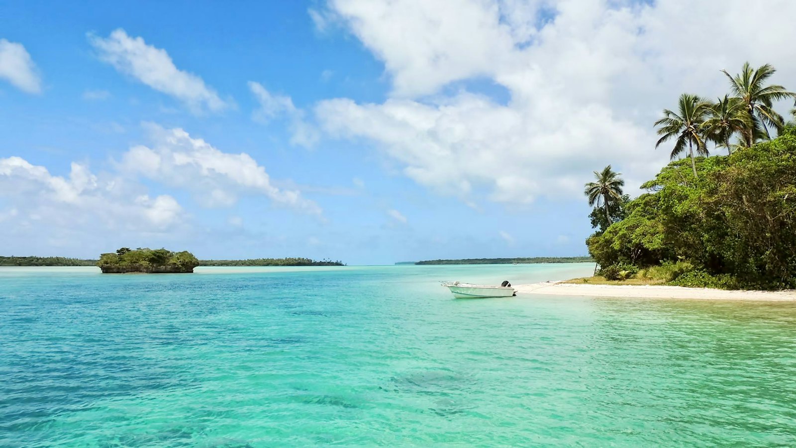 Flying to Jamaica: a travel guide